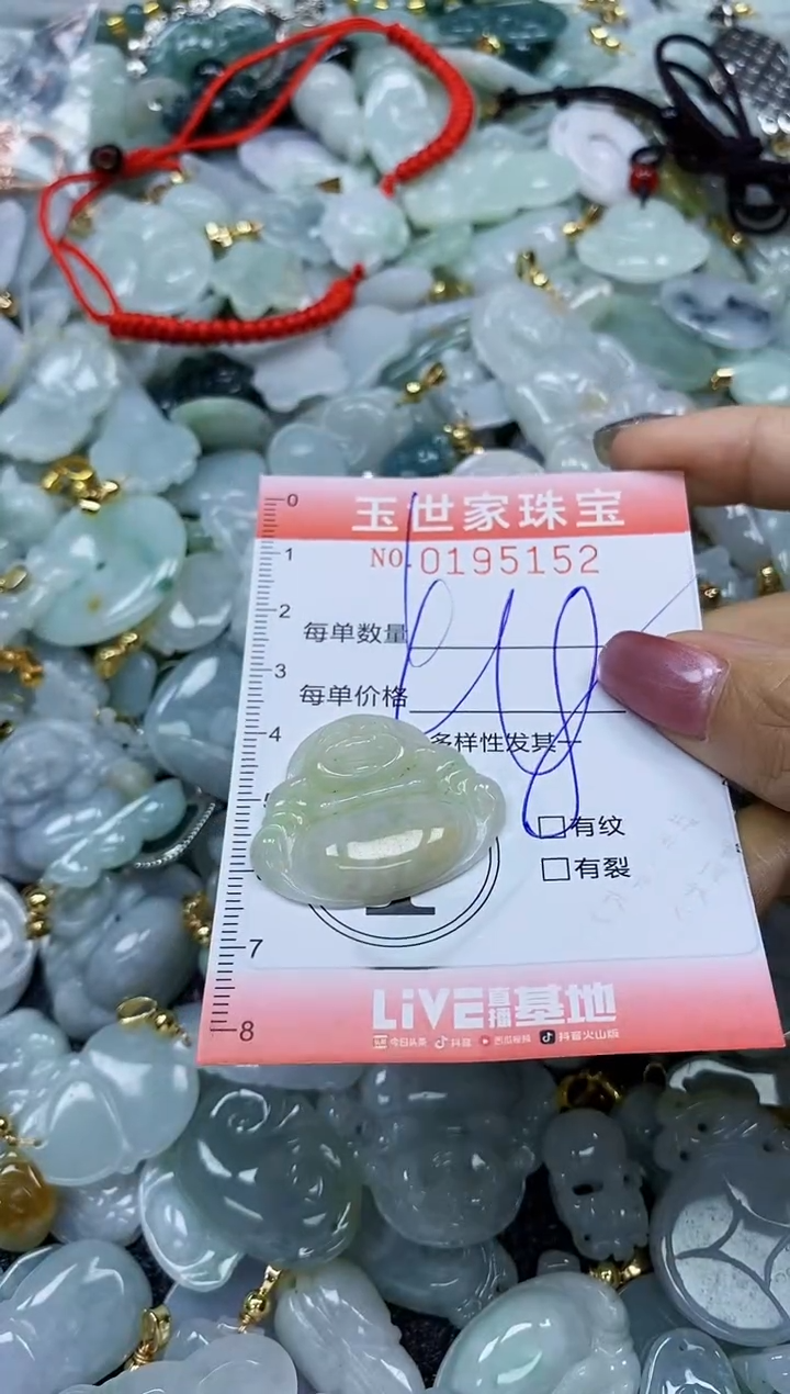 【闪购商品】翡翠颈饰未镶嵌闪购0195152