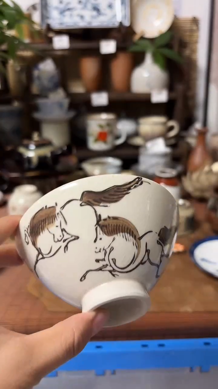 【闪购商品】瓷片喵喵家都是大漂亮老货