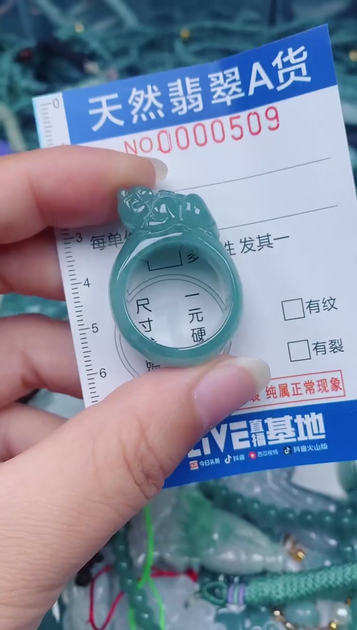 颈饰未镶嵌翡翠00000509