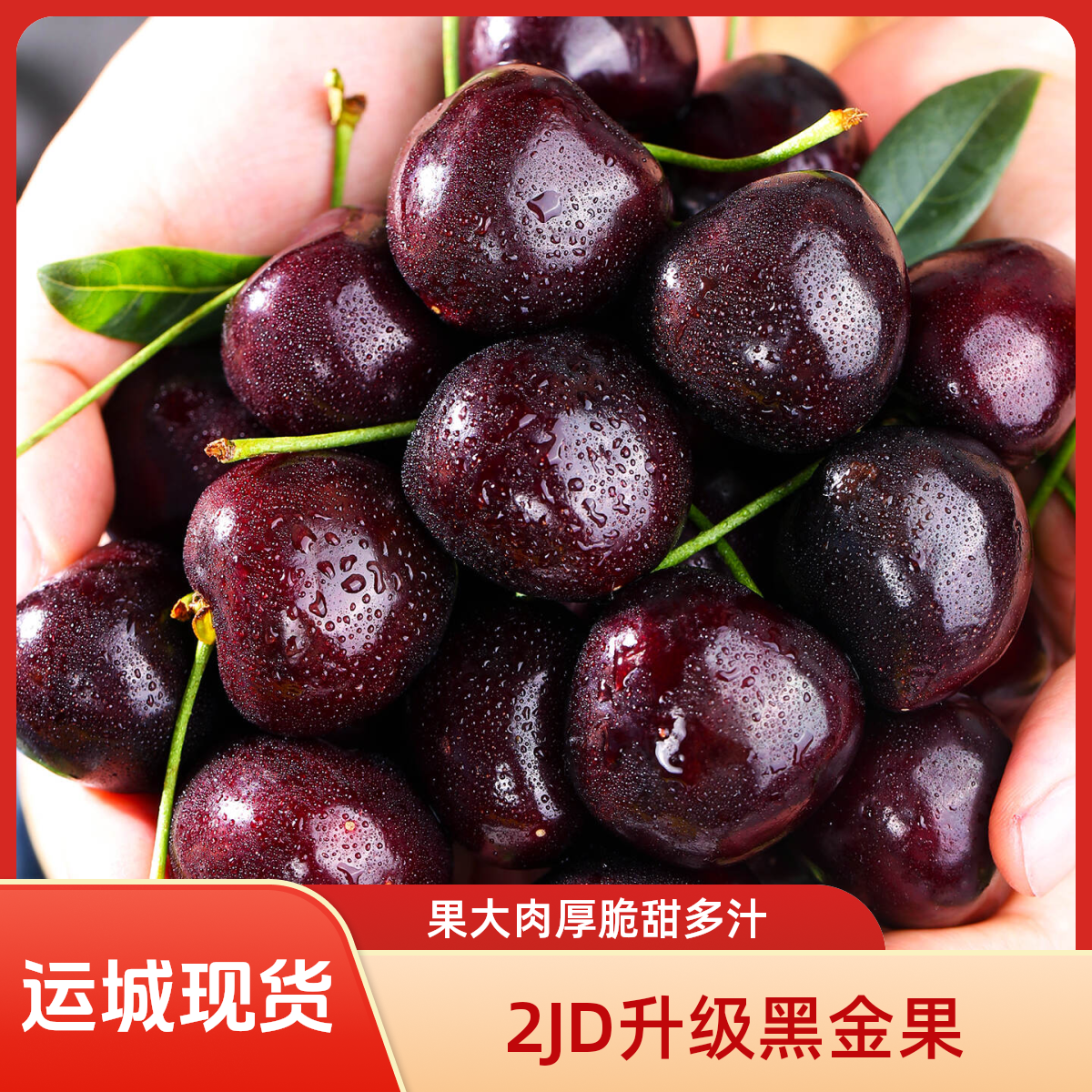 文小豹甄选智利海运进口车厘子｜2JD现货5斤原包装｜运城市区一小时送货上门｜果大脆甜桑提娜