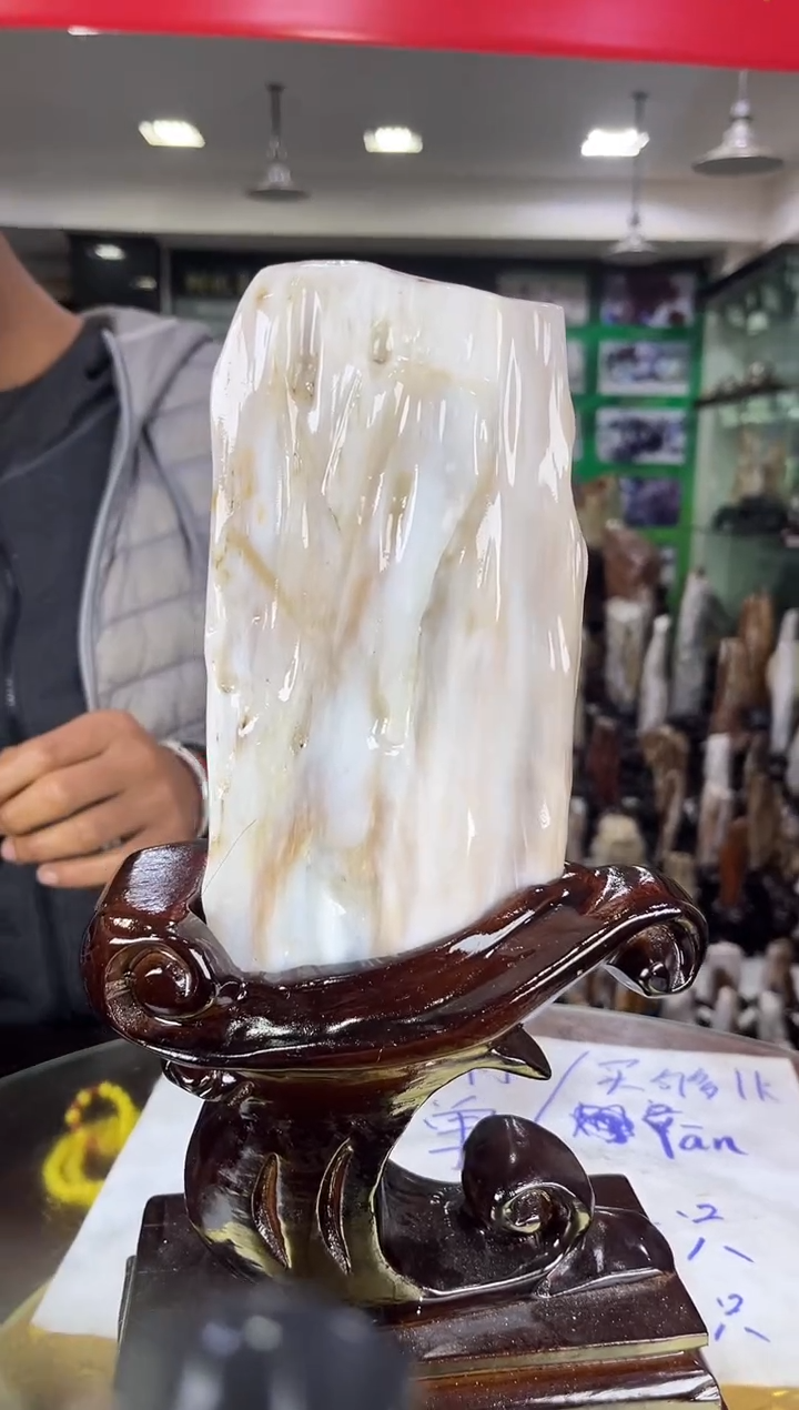 未镶嵌珠宝奇石硅化玉缅甸天然树化玉精品居家摆件