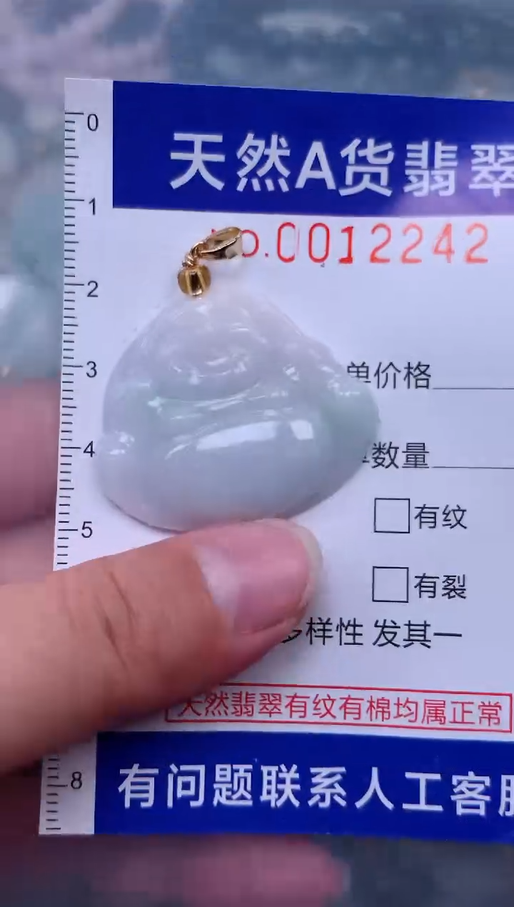 吊坠(赠链)未镶嵌翡翠1