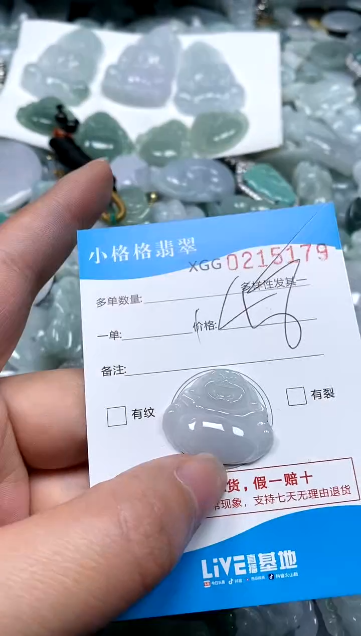 【闪购商品】翡翠颈饰未镶嵌闪购商品0215179