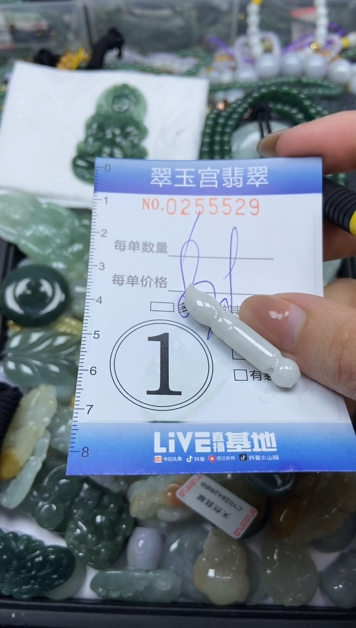 颈饰未镶嵌翡翠闪购C0255529