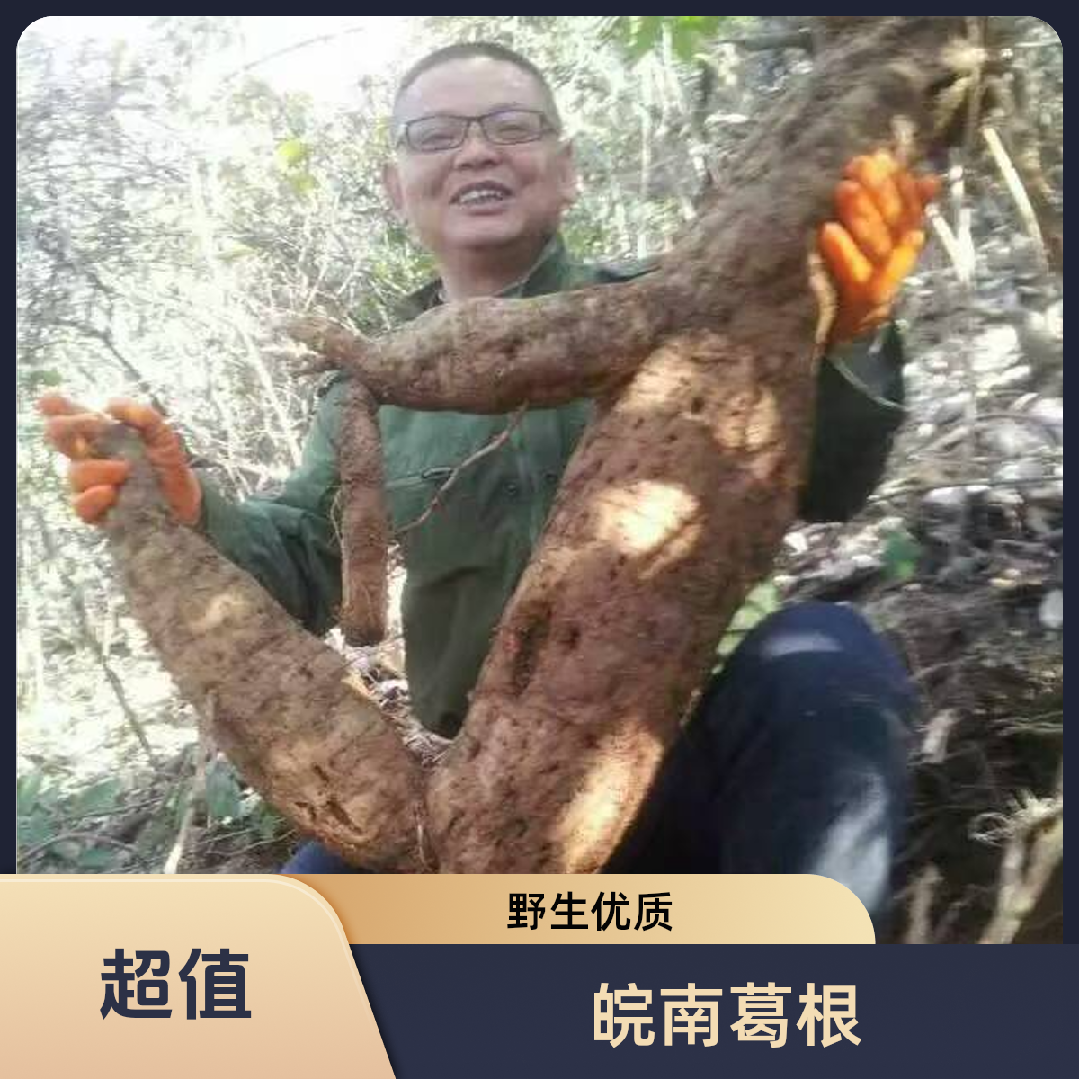 皖南高山野生葛根粉天然农家健康食品