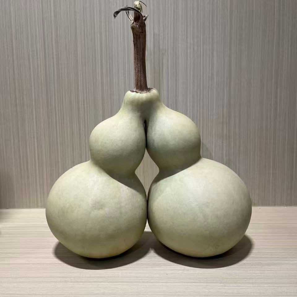 精品八宝葫芦一物一拍，直播专用。