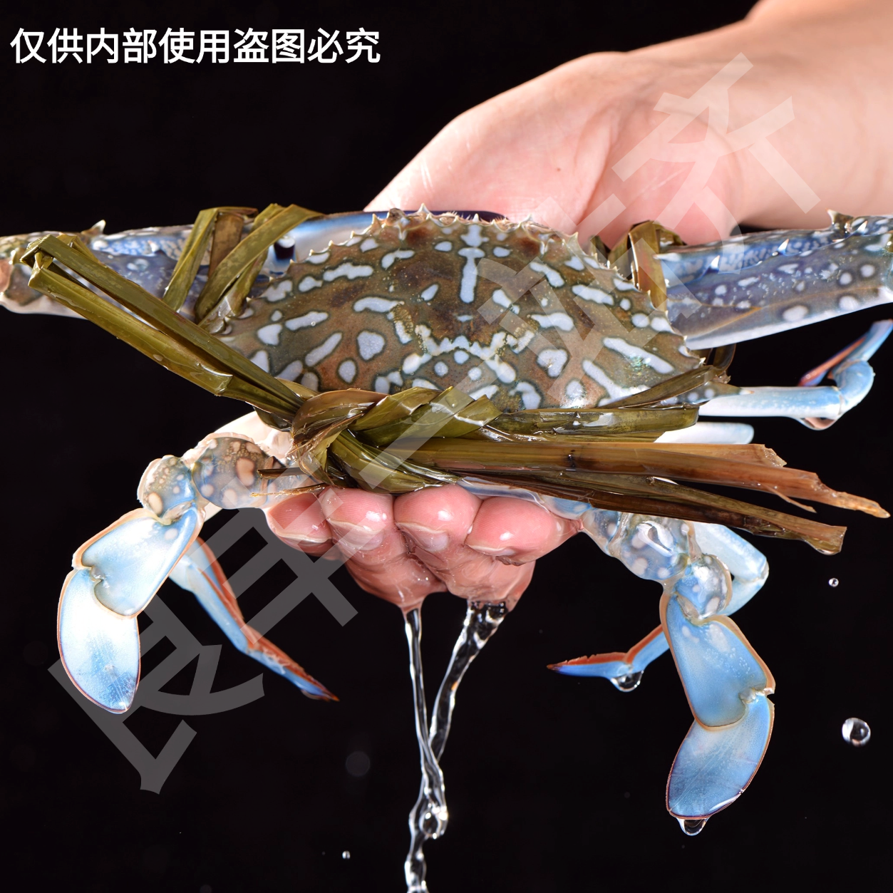 【花蟹】 默认打氧配送 小时到家  在途过程中会发生个别缺氧死亡状态，介意请慎拍kg蟹同城配送