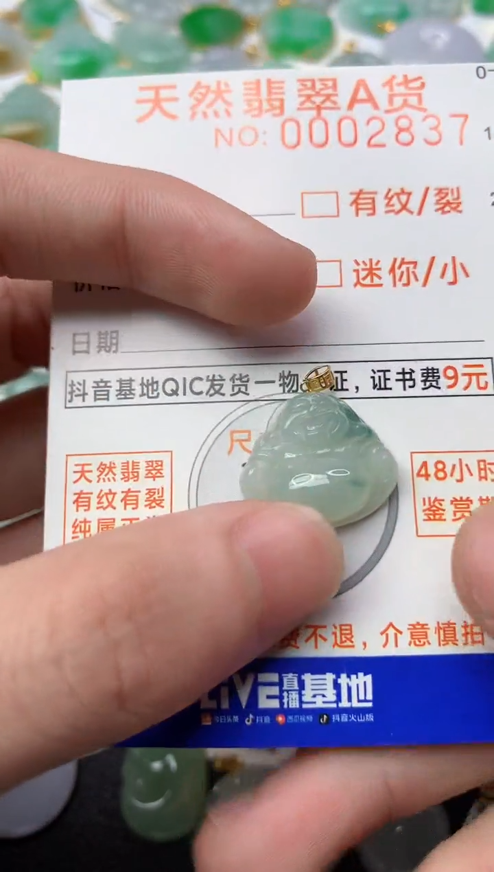 【闪购商品】翡翠颈饰18K金镶嵌5............