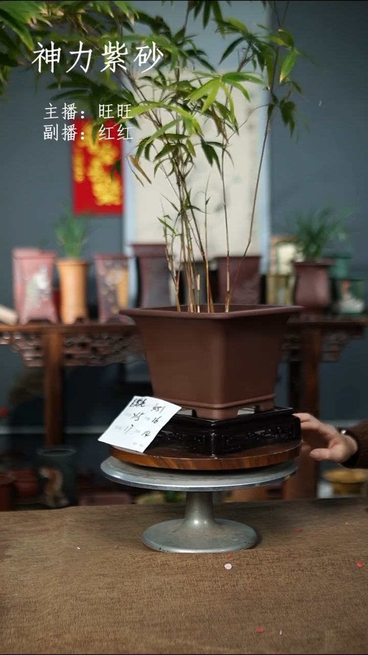 3051+S紫砂花盆紫砂花盆