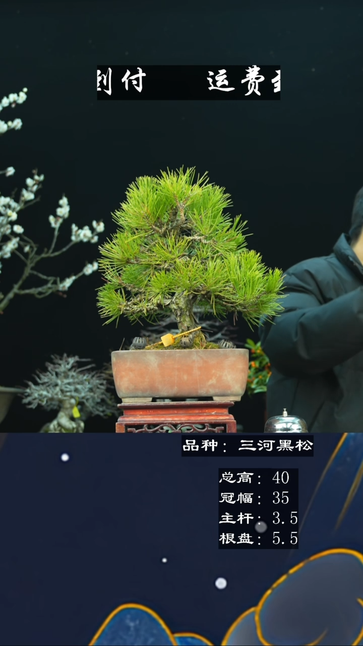 【闪购商品】无铅玻璃13242