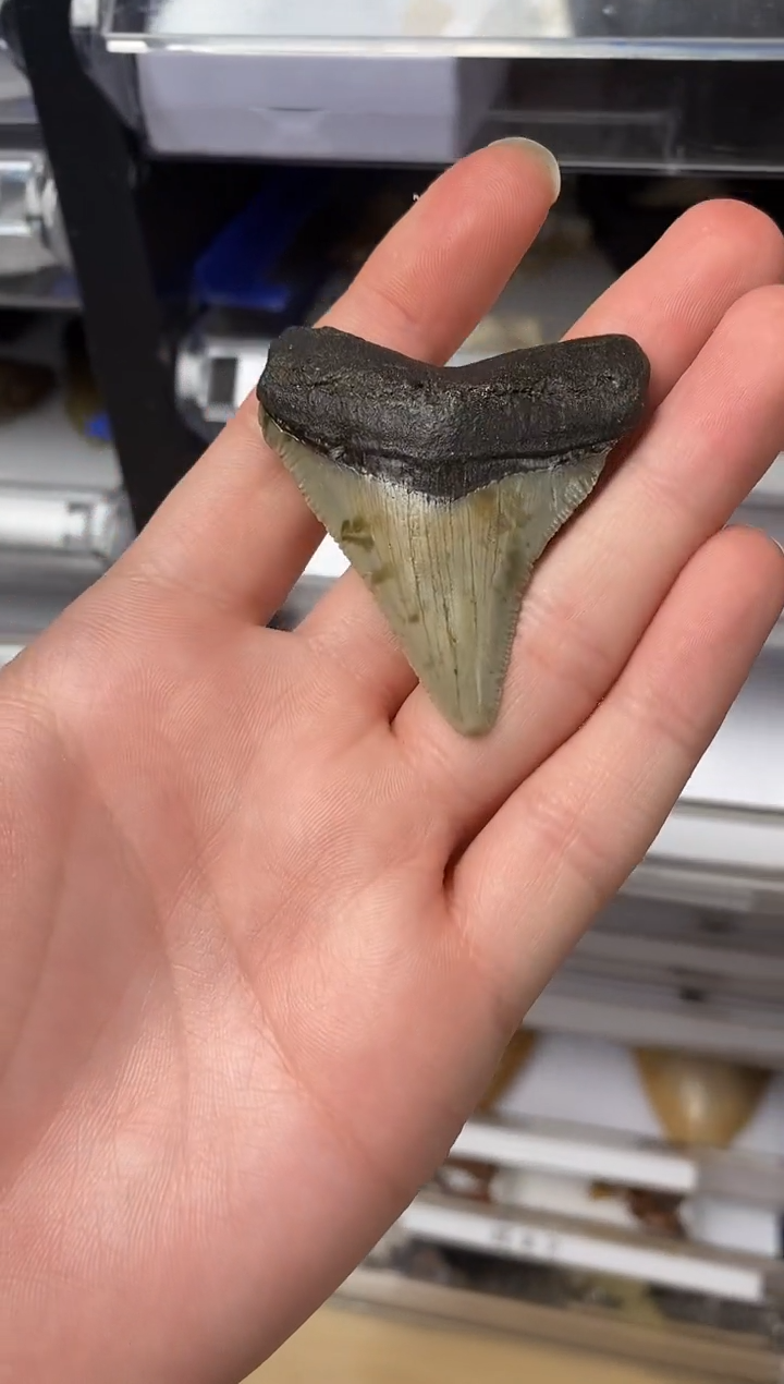 巨精美摆件创意礼物家居配饰新年礼物个人收藏