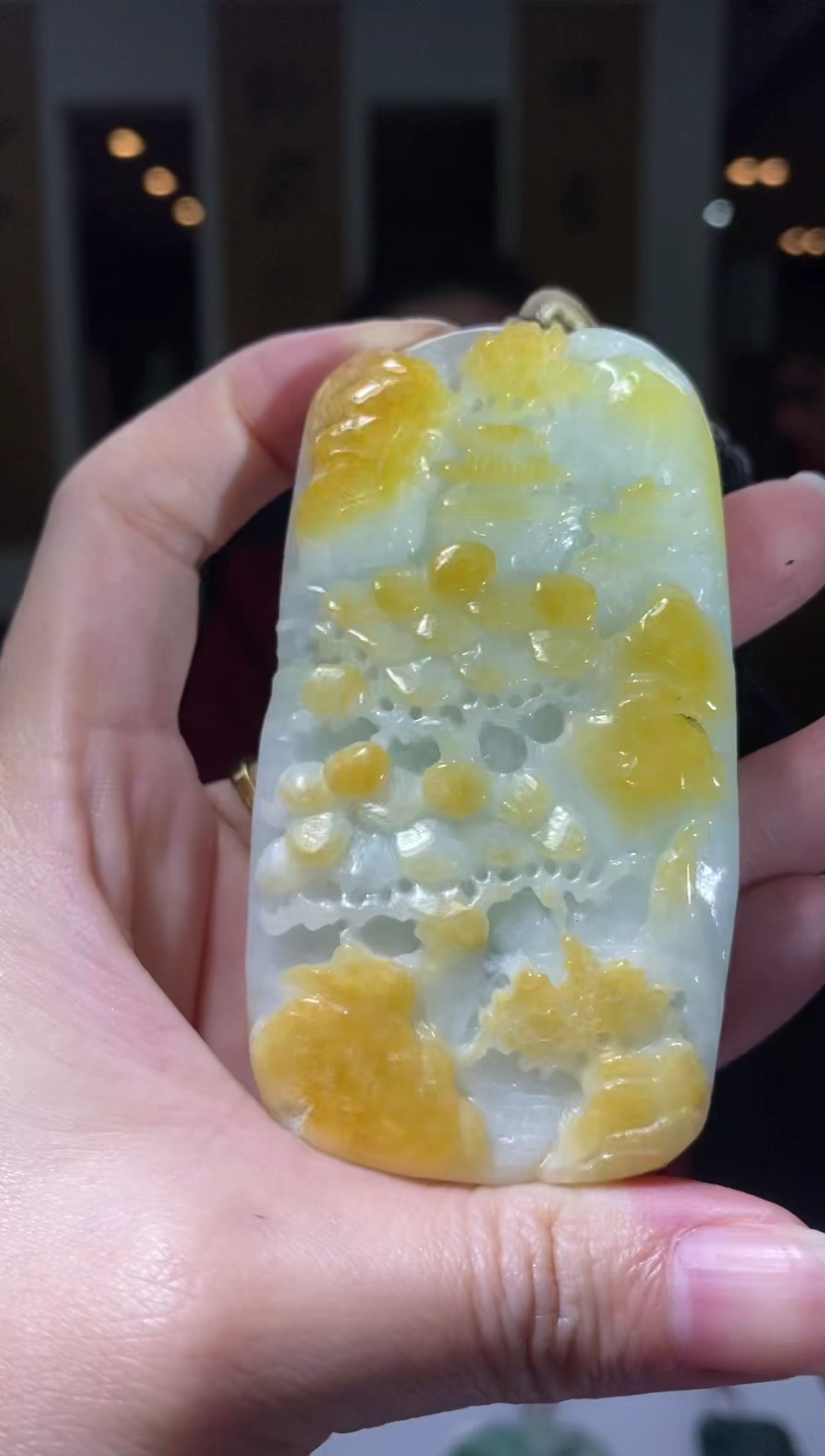 【闪购商品】翡翠颈饰未镶嵌B-@@YQYC01290019