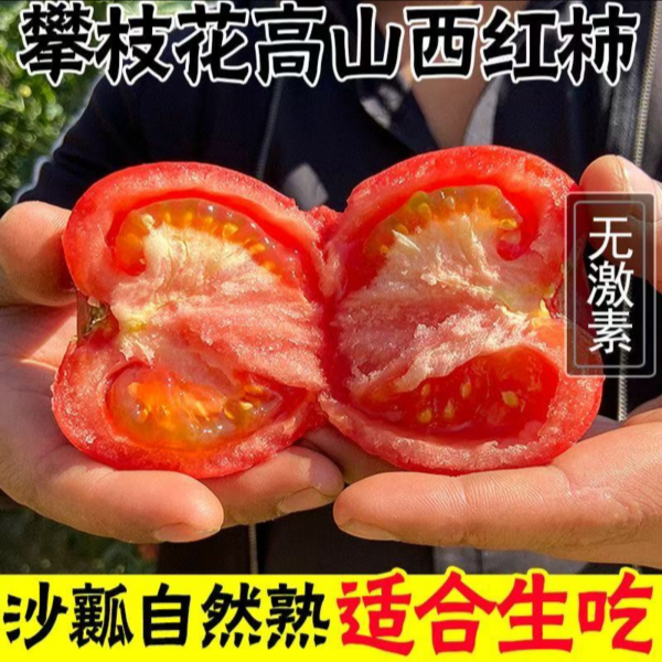 【沙瓤西红柿】正宗四川攀枝花 高山沙瓤番茄5斤 产地直发 坏果包赔