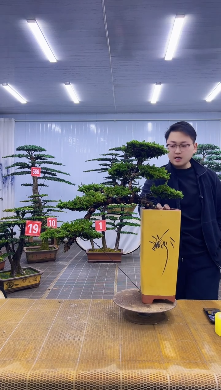 无花朵000000000000000000