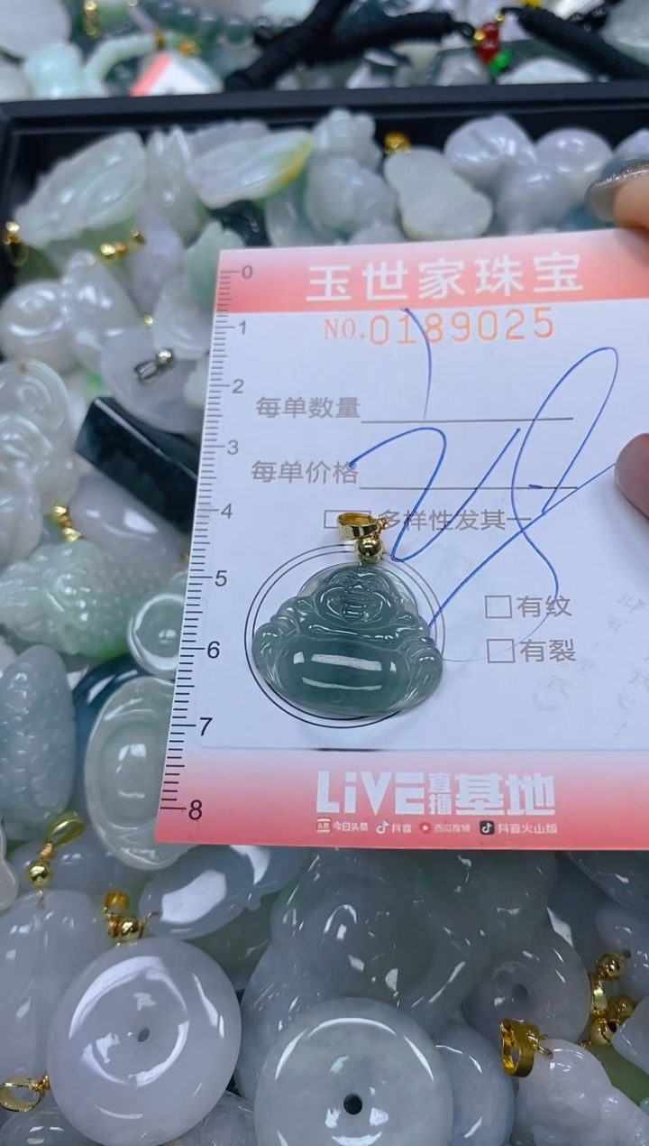 【闪购商品】翡翠颈饰未镶嵌闪购0189025