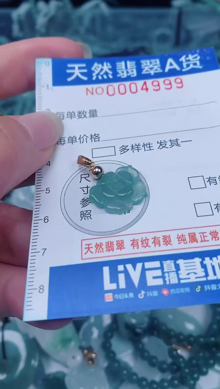 颈饰未镶嵌翡翠00004999