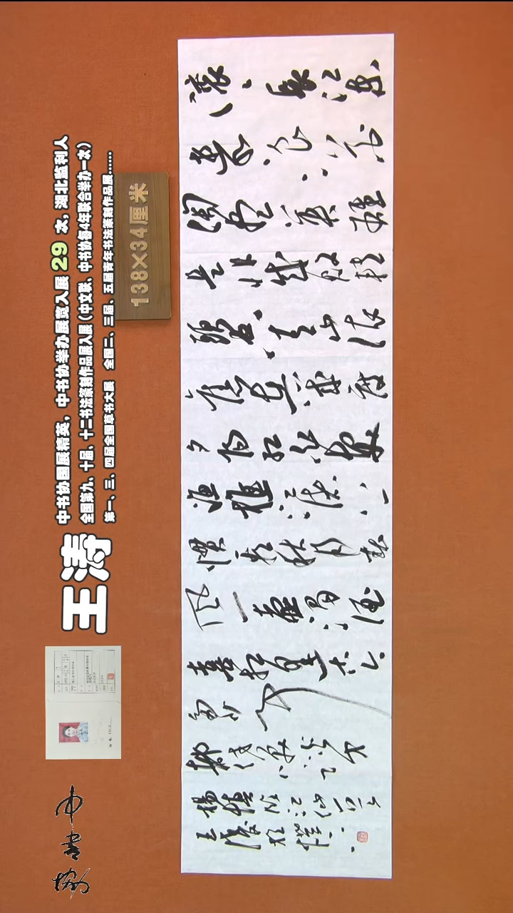 【闪购商品】书法313王涛书法作品