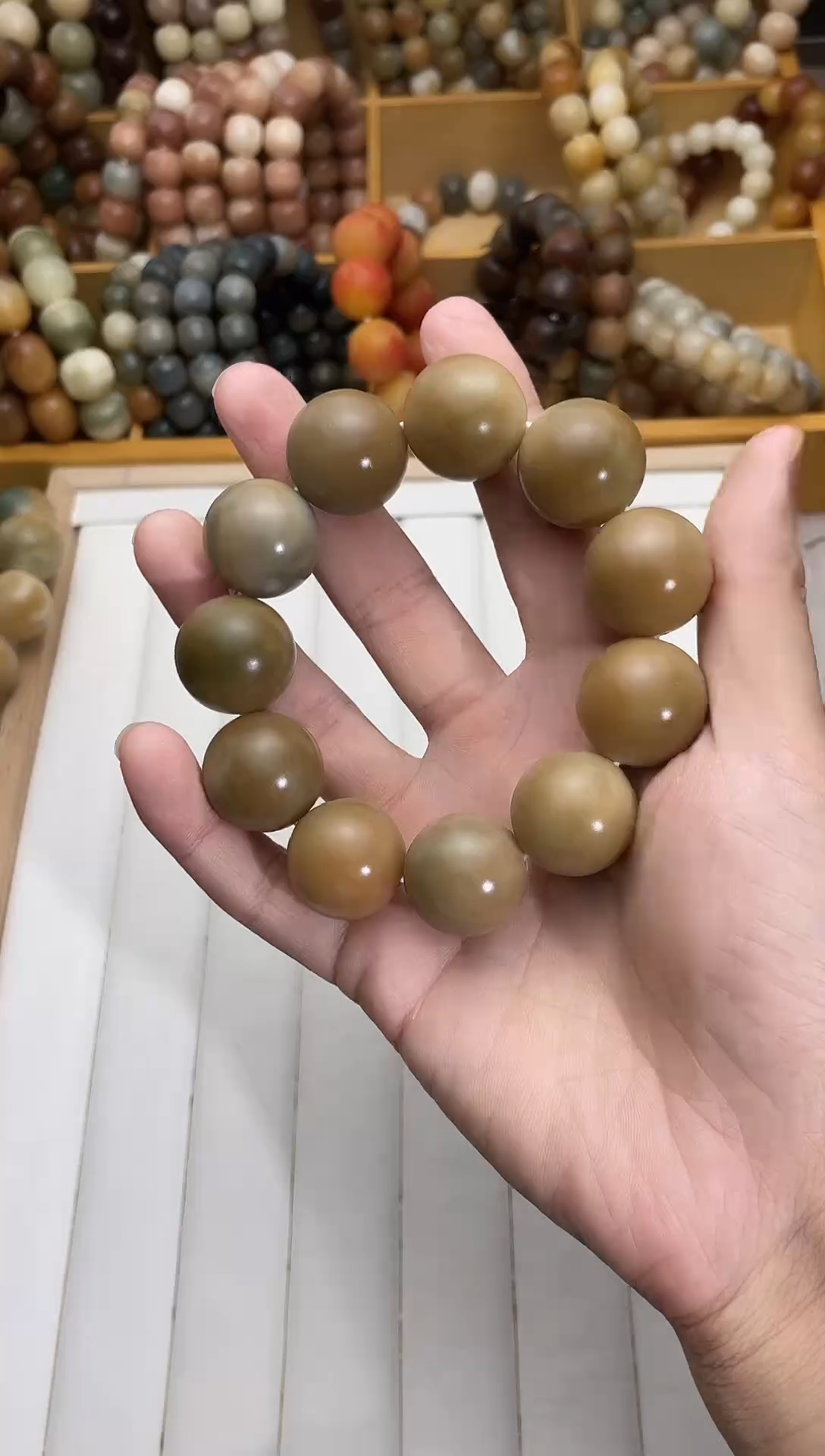 菩提根卡22大瓜菩提