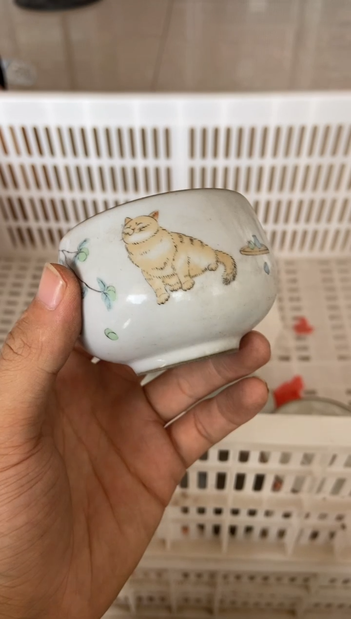 无运费险有瑕疵的摄影的产品有使用过的痕迹有点脏介意勿拍