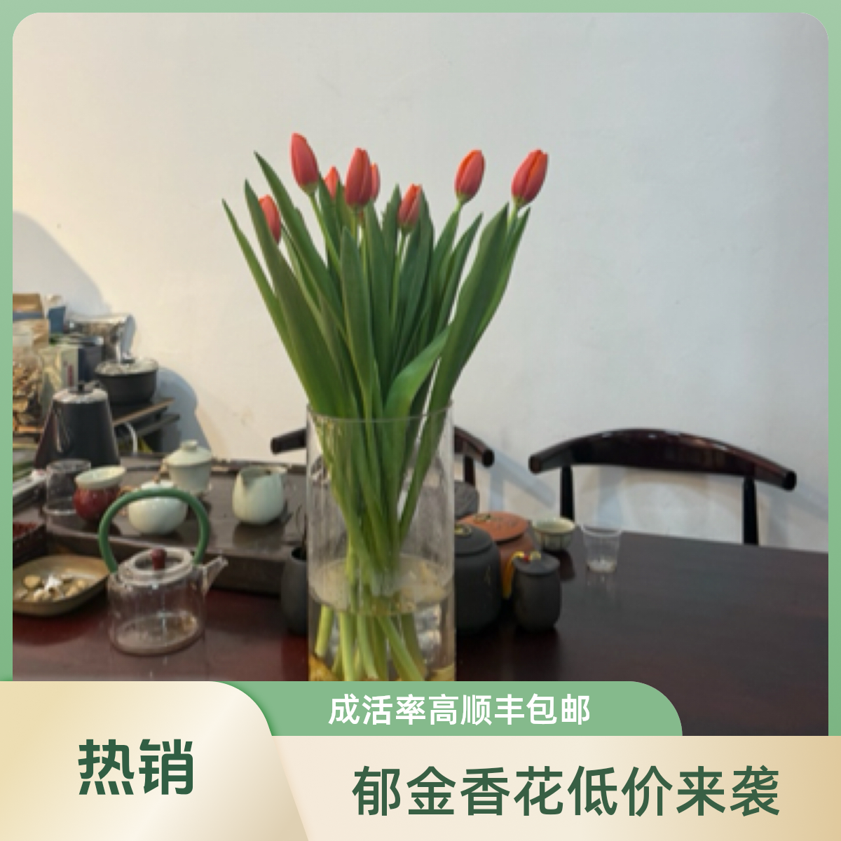 橙红郁金香，3支19块9，成活率高。福建广东浙江今天拍明天到，任意两单顺丰包邮加保鲜剂