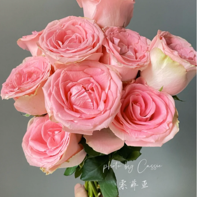 尖货大炸！黑钻金银玫瑰合方单方精油500ml