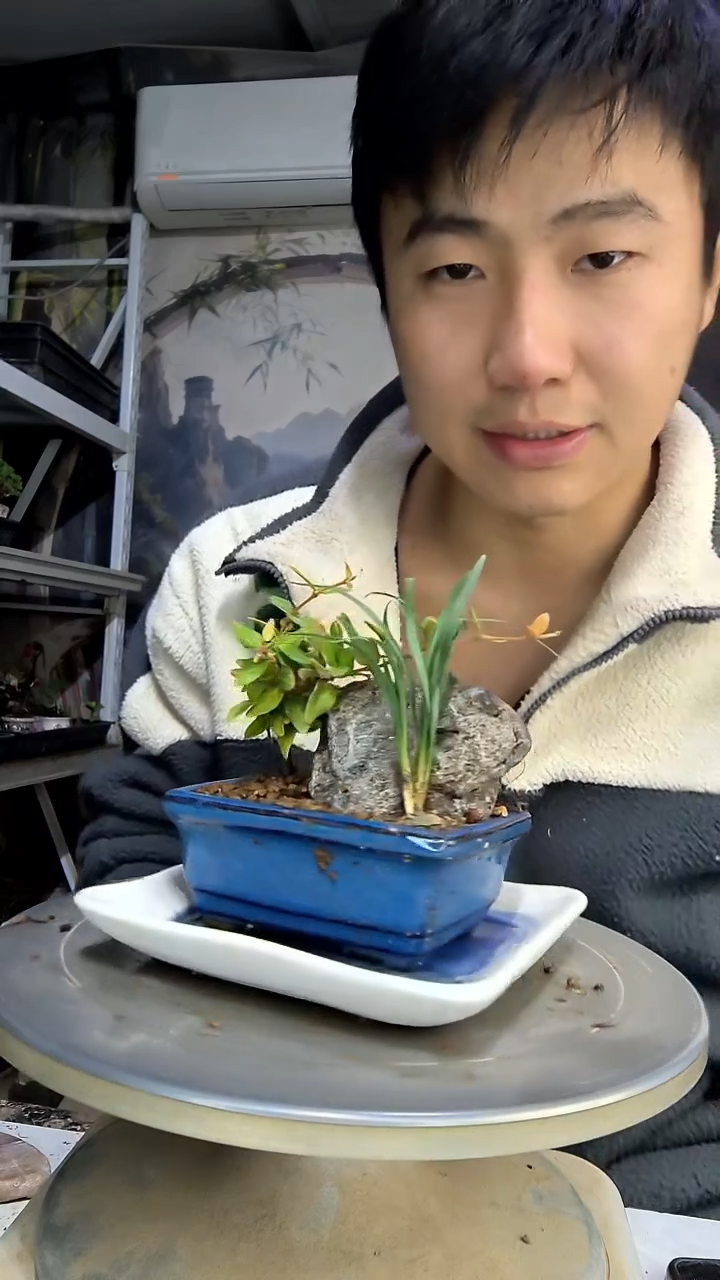 杨**乐中青园艺一物一拍花84