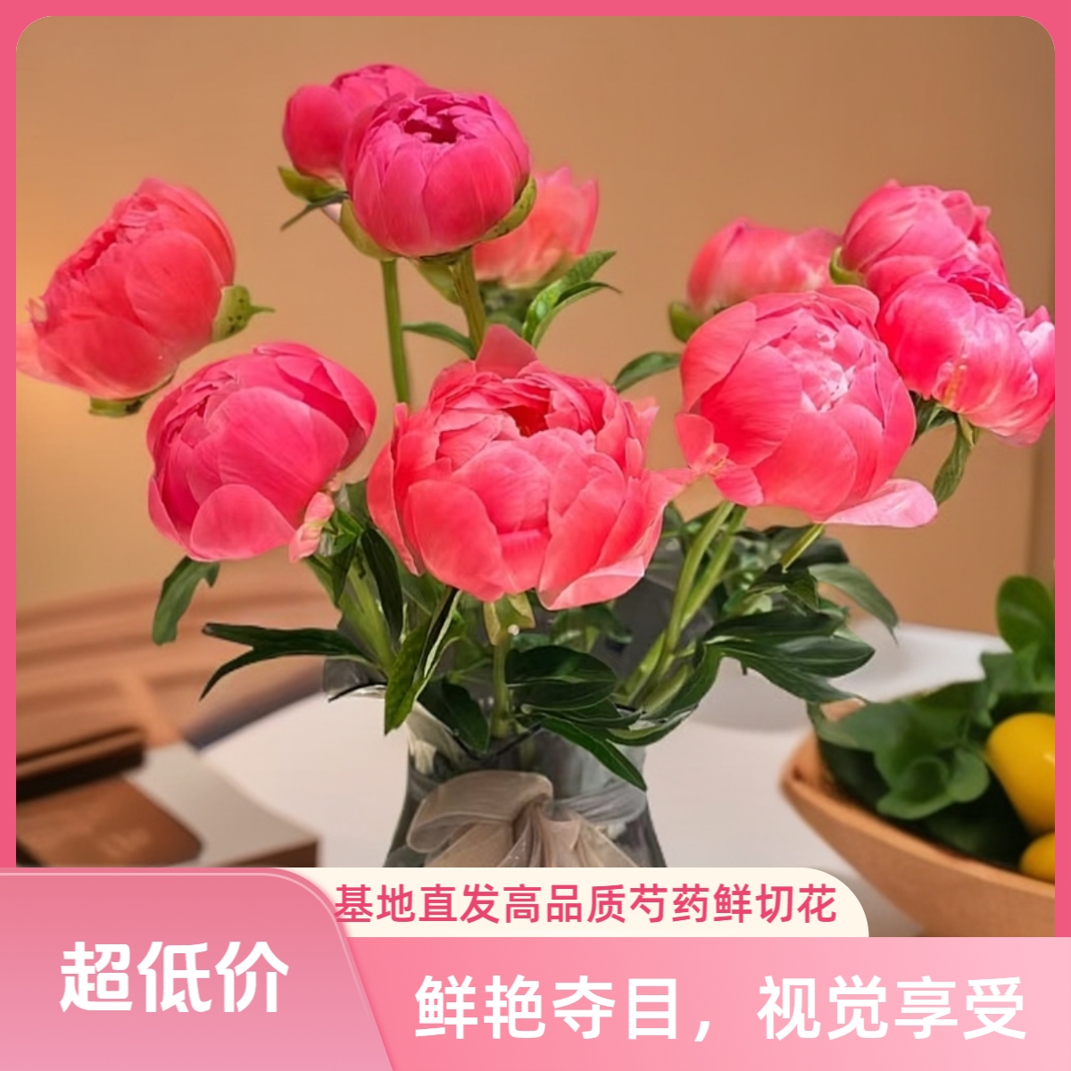 珊瑚落日 芍药鲜切花  芍药鲜花 原产地直发