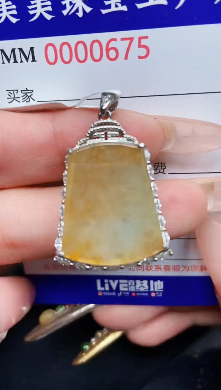 【闪购商品】翡翠颈饰银S925镶嵌0675