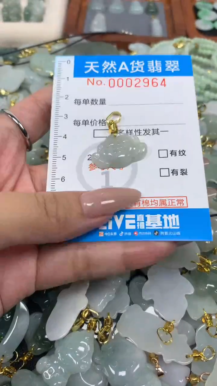 翡翠未镶嵌颈饰净货挂件-2964