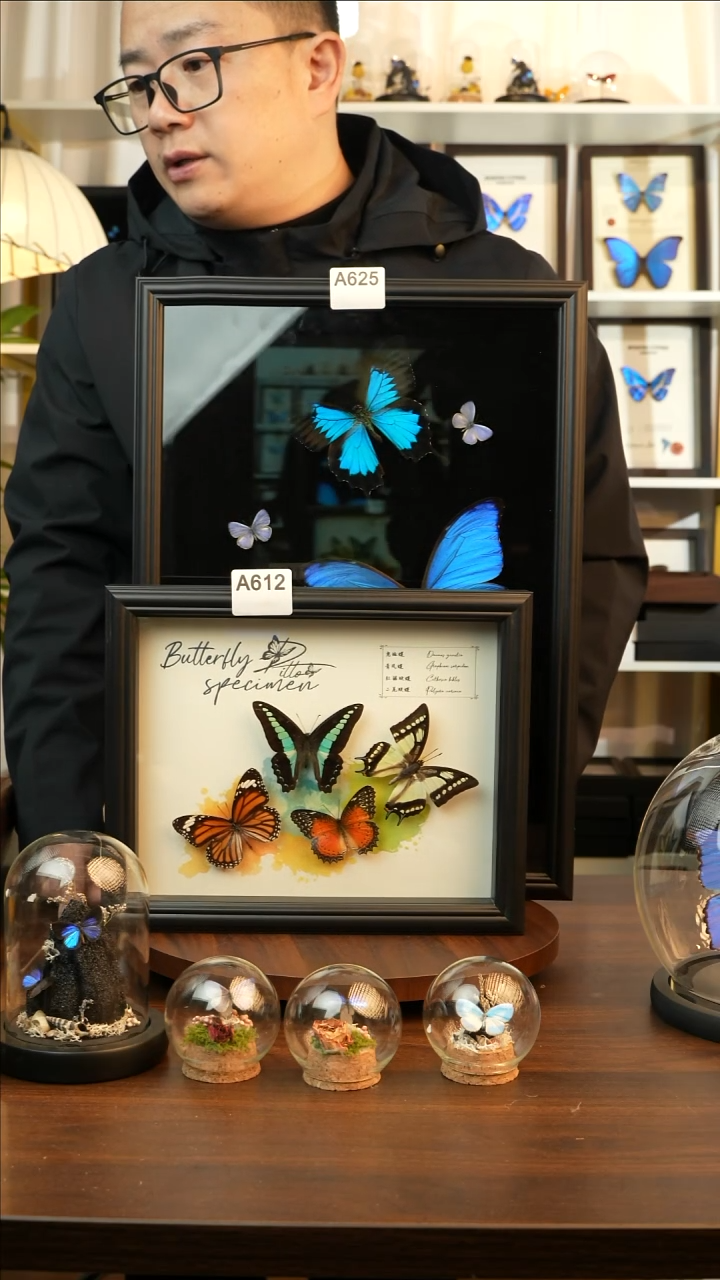 四色蝴蝶组合（10寸欧式黑框）A612