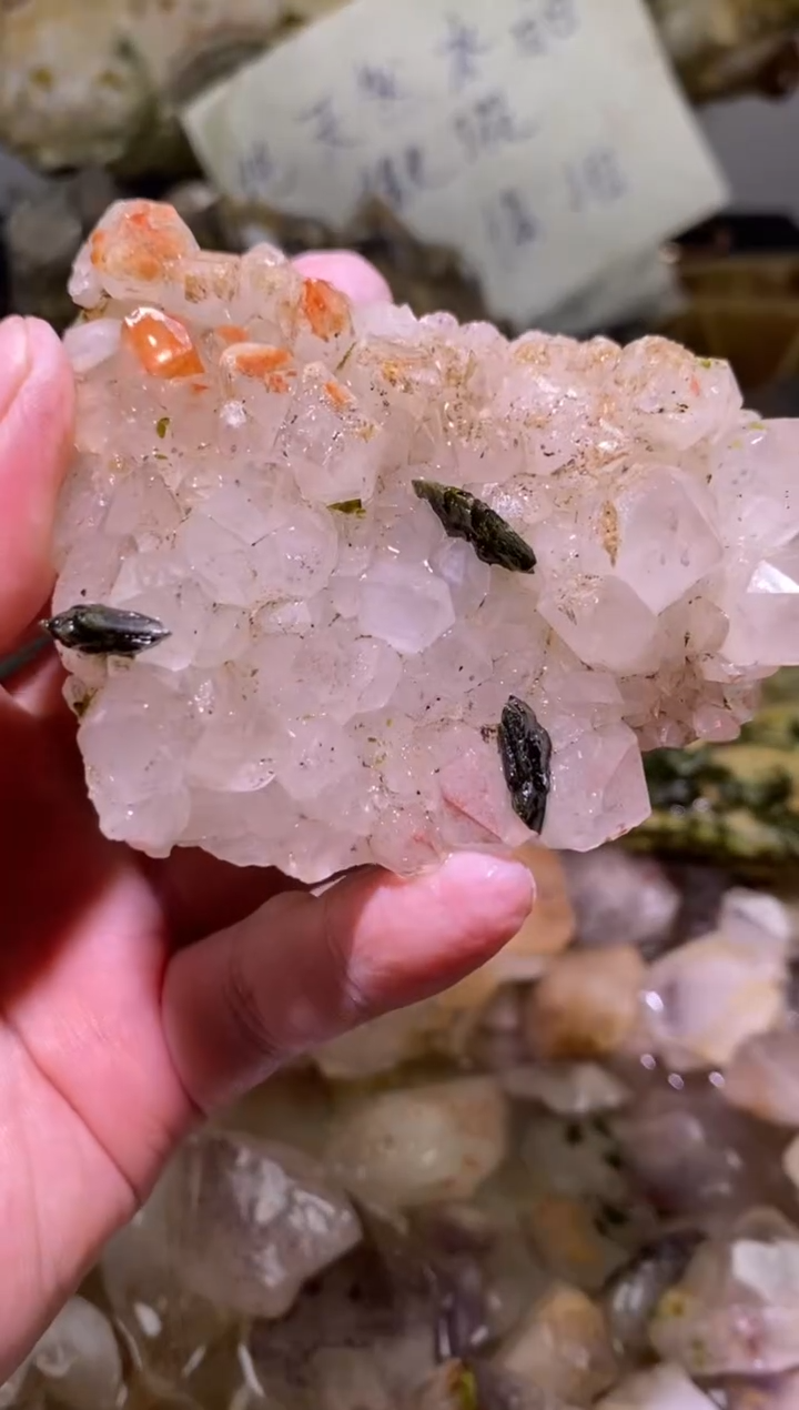 未镶嵌珠宝半成品水晶123号166g四川美姑超七花园水晶