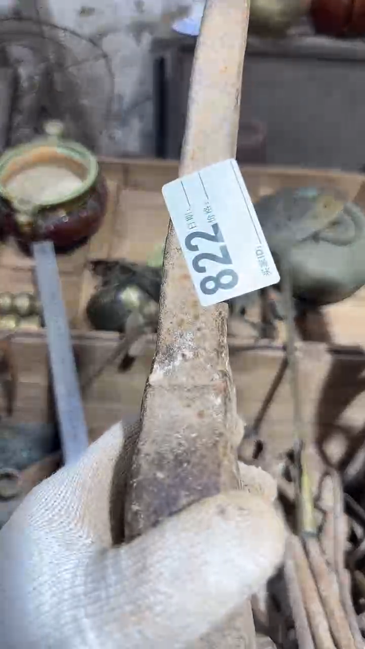 【闪购商品】闪购0616小龙专属链接
