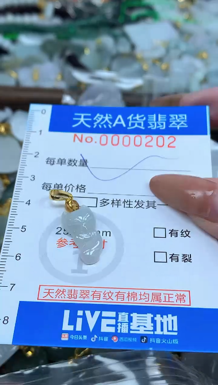 颈饰未镶嵌翡翠净货挂件-0202