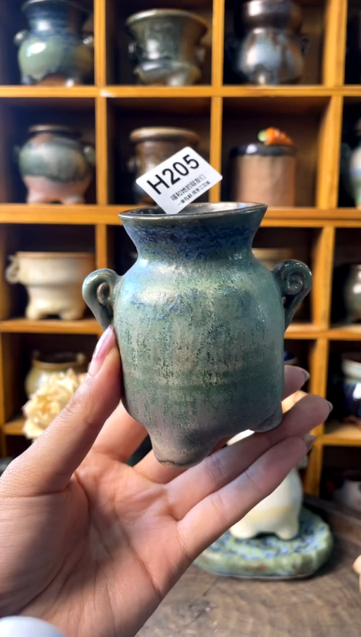 205内口4【多肉花盆多肉盆】