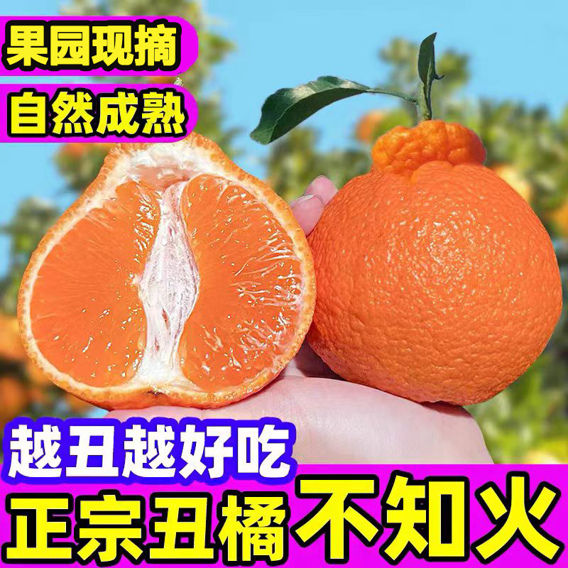 四川新鲜丑橘水果整箱当季不知火桔子香甜多汁