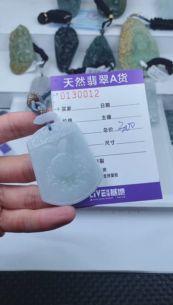 【闪购商品】翡翠颈饰未镶嵌       012