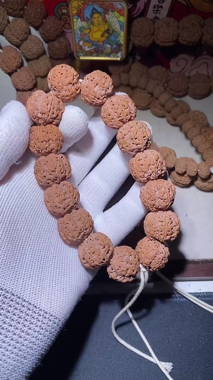 【闪购商品】金刚菩提手串超头满肉五星蜂王21