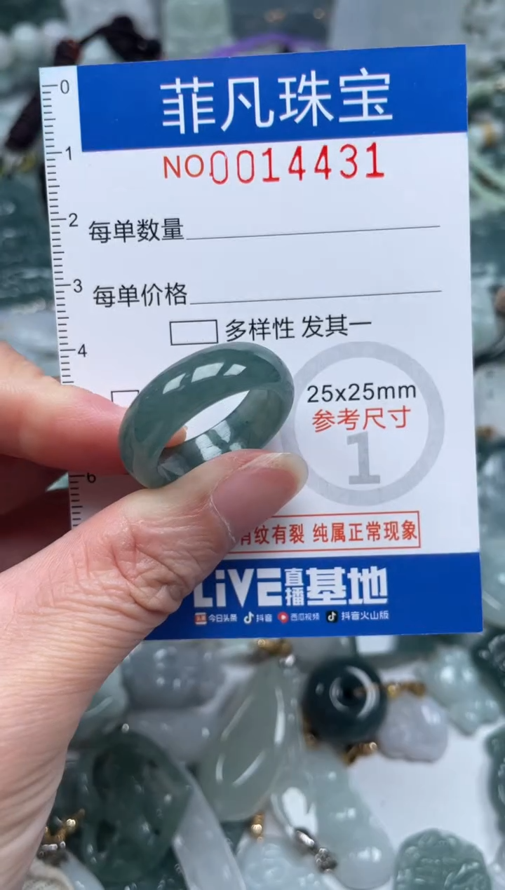 颈饰未镶嵌翡翠14431