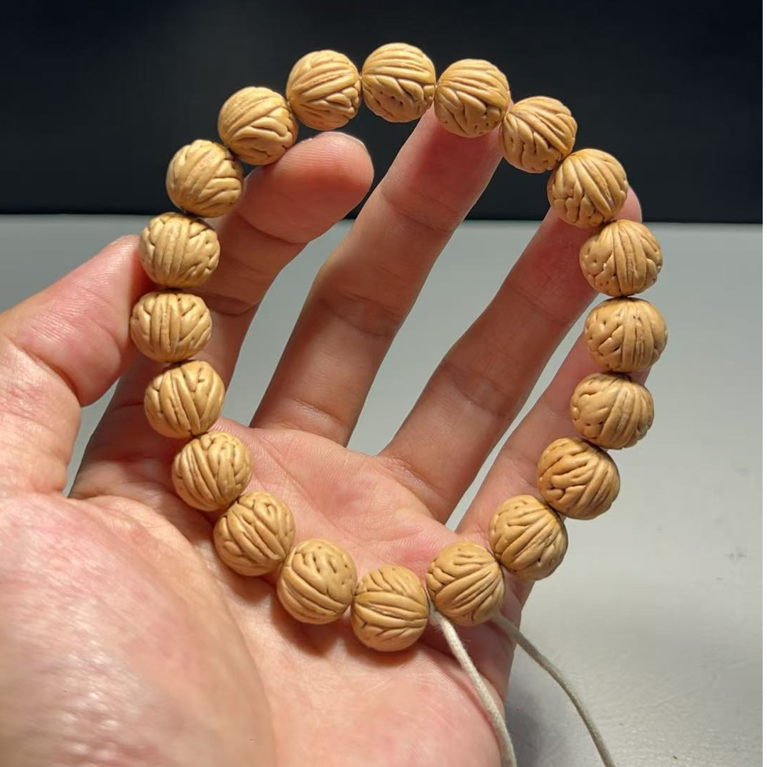 1.3（大肠）野生桃核