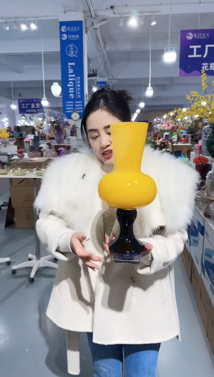 【闪购商品】玻璃XX-G4548H