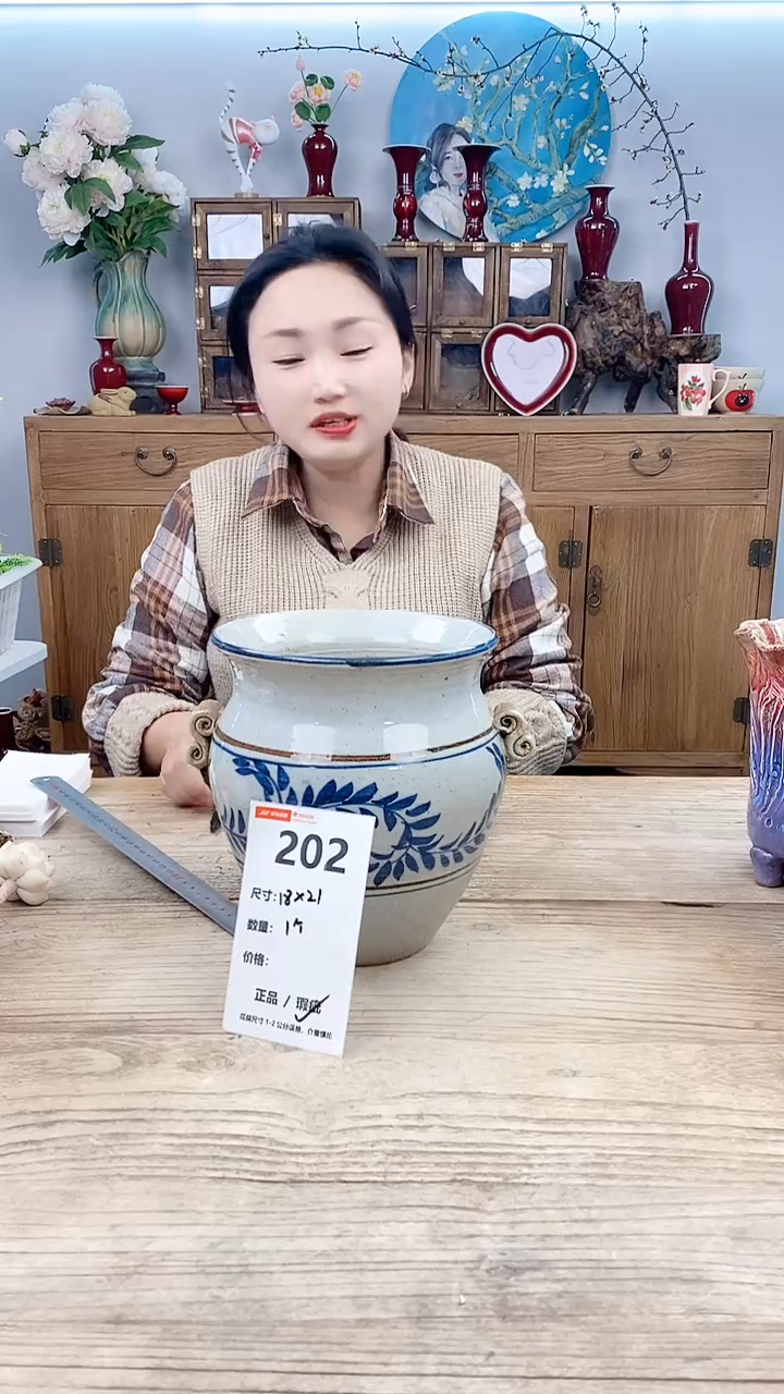 【闪购商品】红陶202