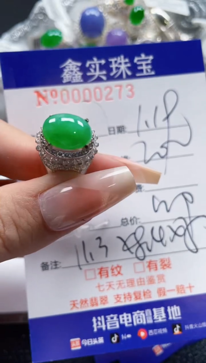 【闪购商品】翡翠颈饰未镶嵌/02730000