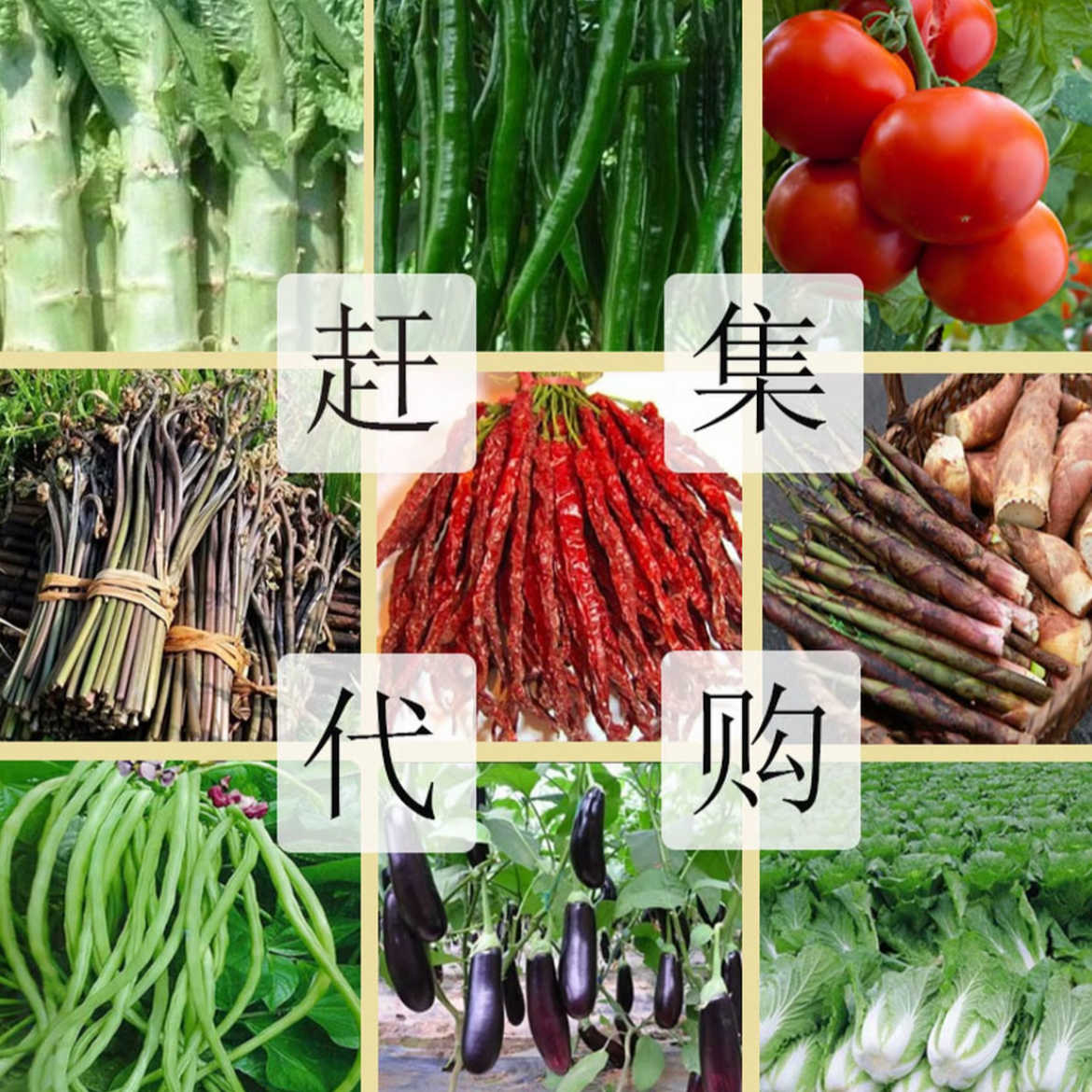 【兵哥助农】赶集收山货