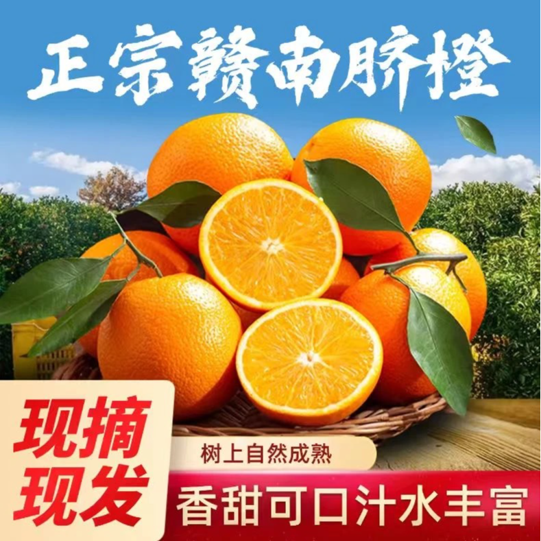 （试吃3个）正宗江西赣南脐橙农家橙子新鲜水果产地直发【坏果包赔】
