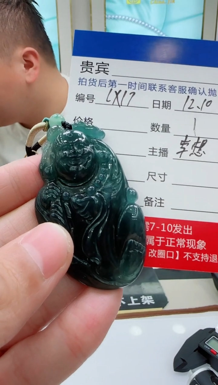 未镶嵌定制翡翠LX17翡翠吊坠-多样性发其一