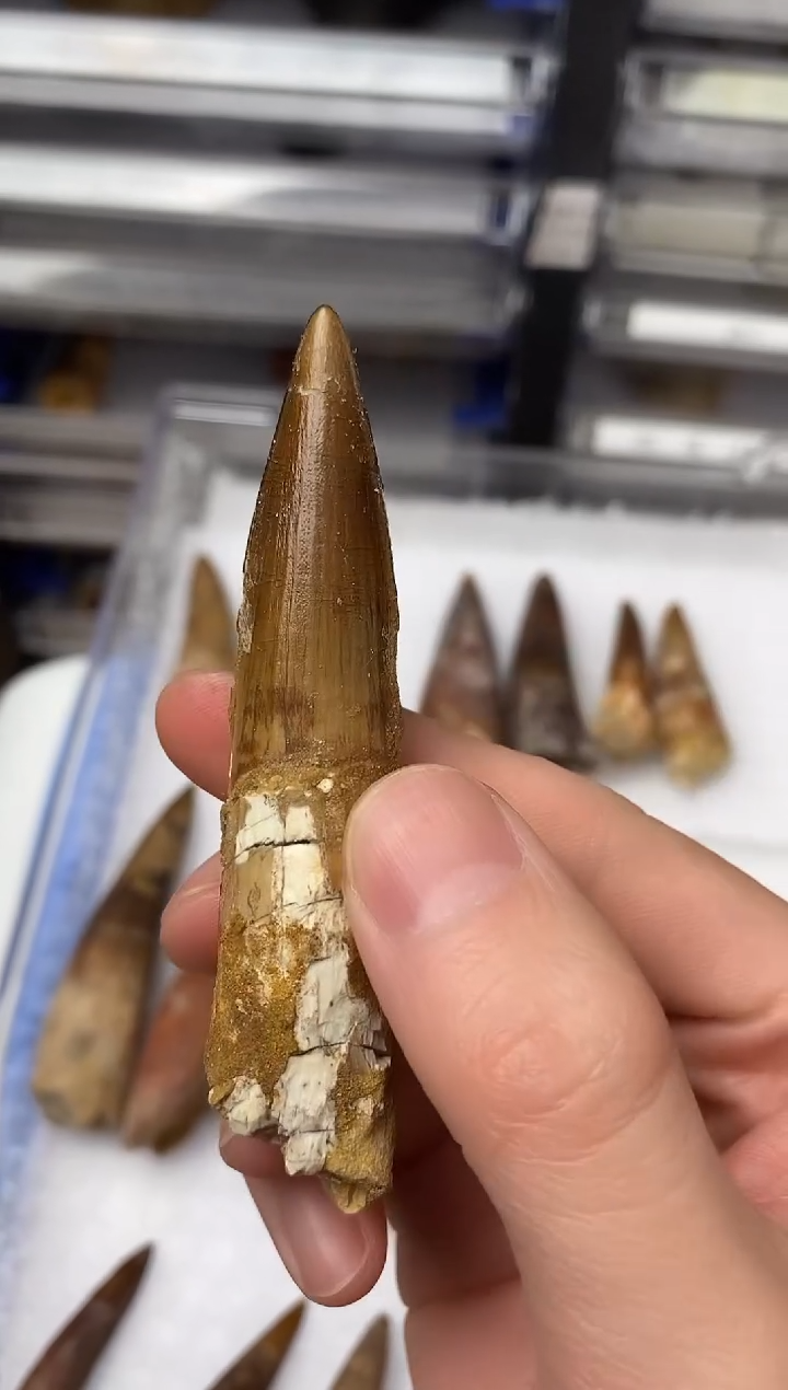 精美摆件创意礼物家居配饰新年礼物个人收藏