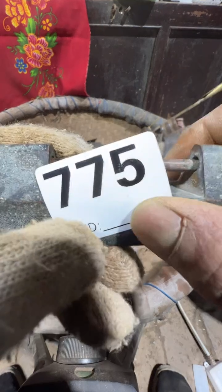 元08180老王直播间专属链接