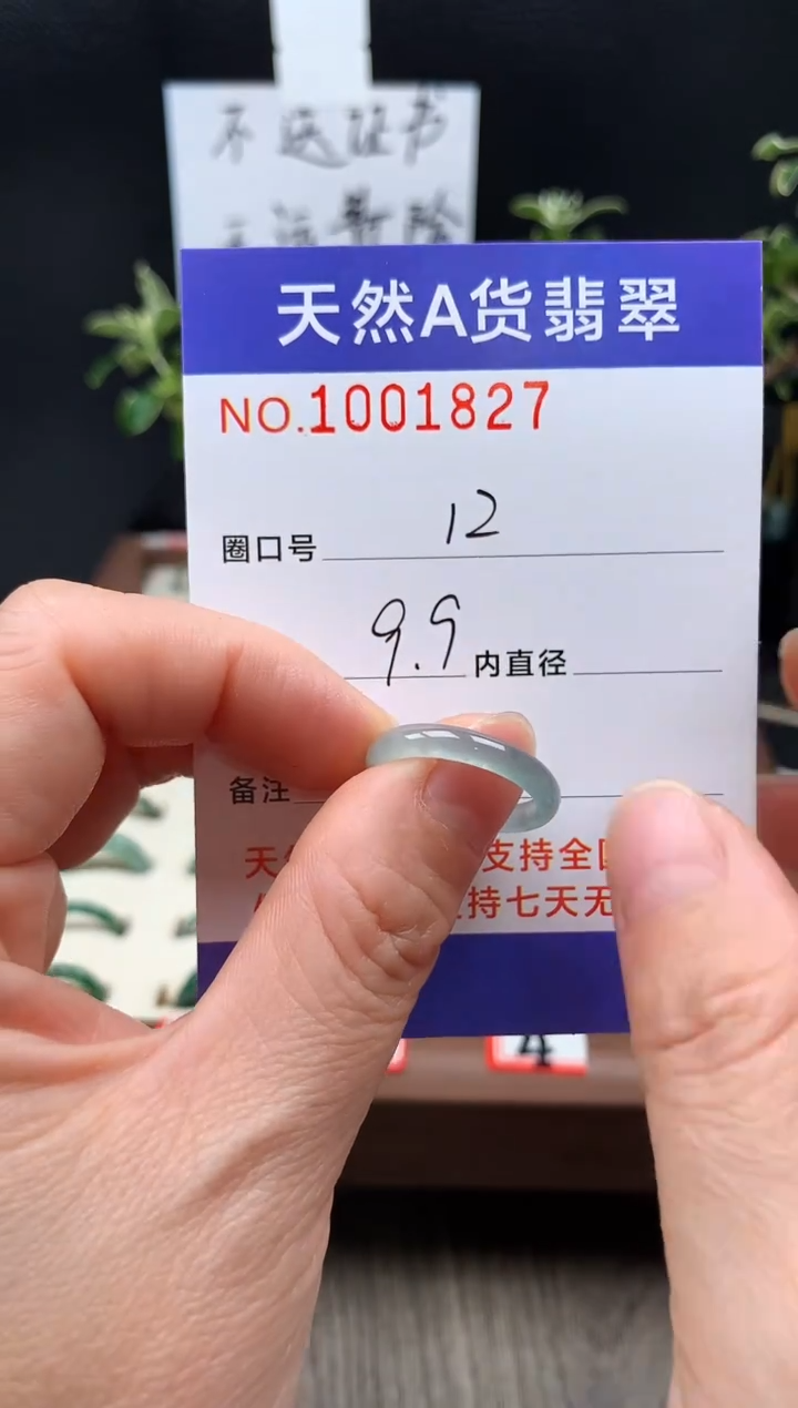 未镶嵌戒指翡翠12#