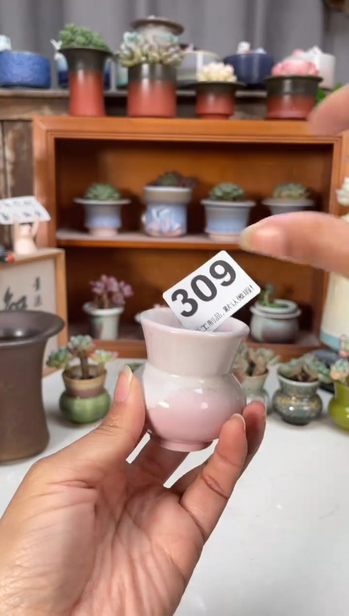 瓷片309知木小芳花盆