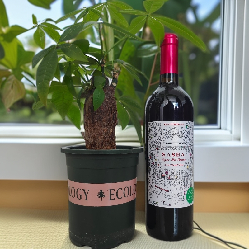 沙夏微醺半甜红13%vol